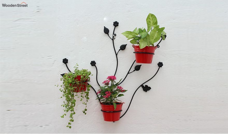 Wall Planters