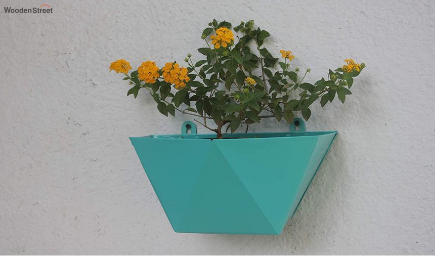 wall hanging pots