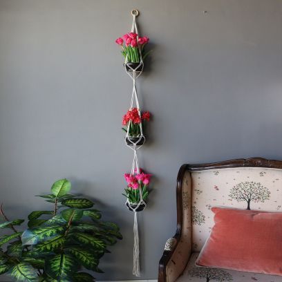 Plant Hangers Online