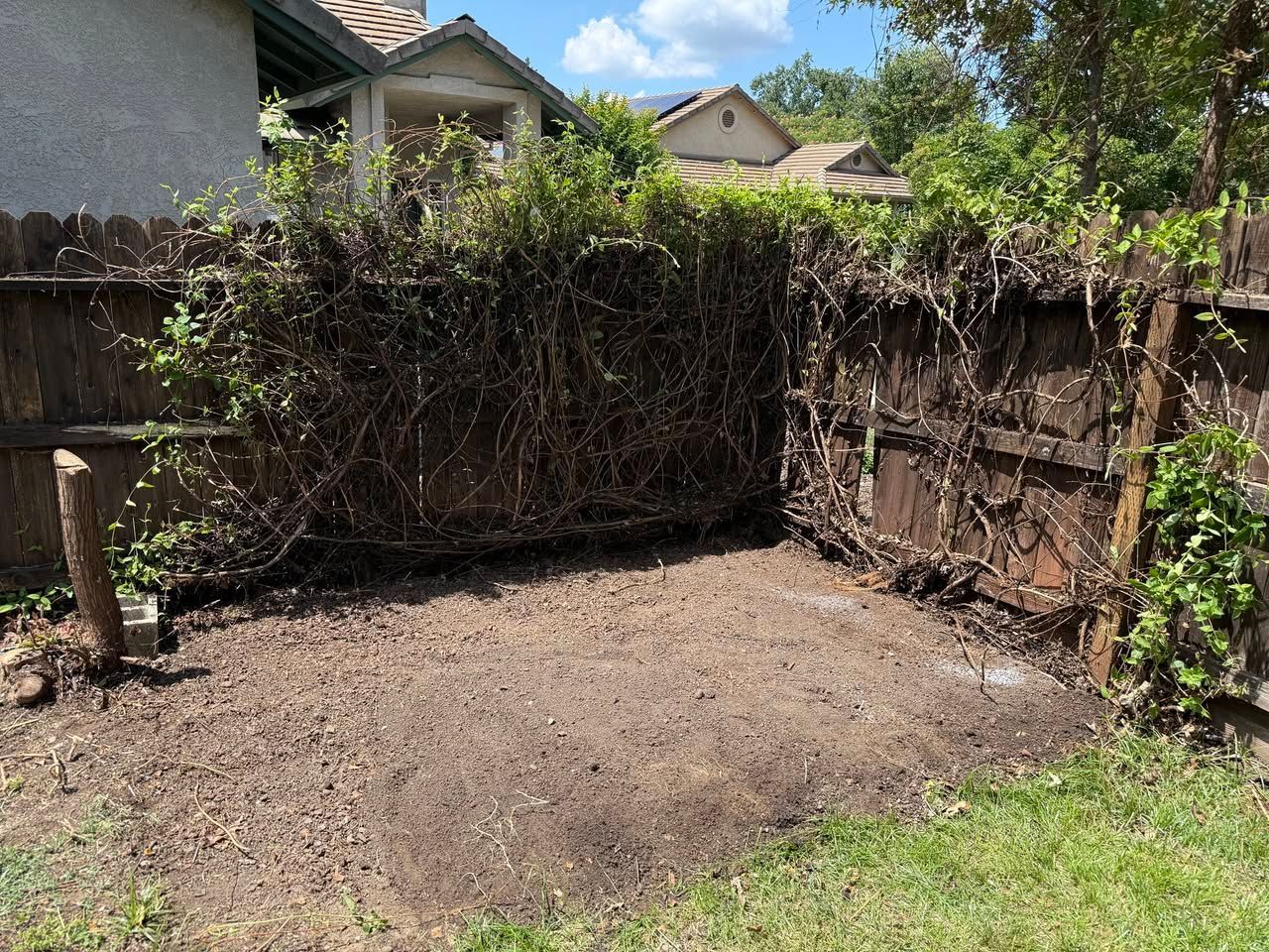 Shed Removal and Demolition Services in Butte County, CA — after: bare backyard corner with dirt ground