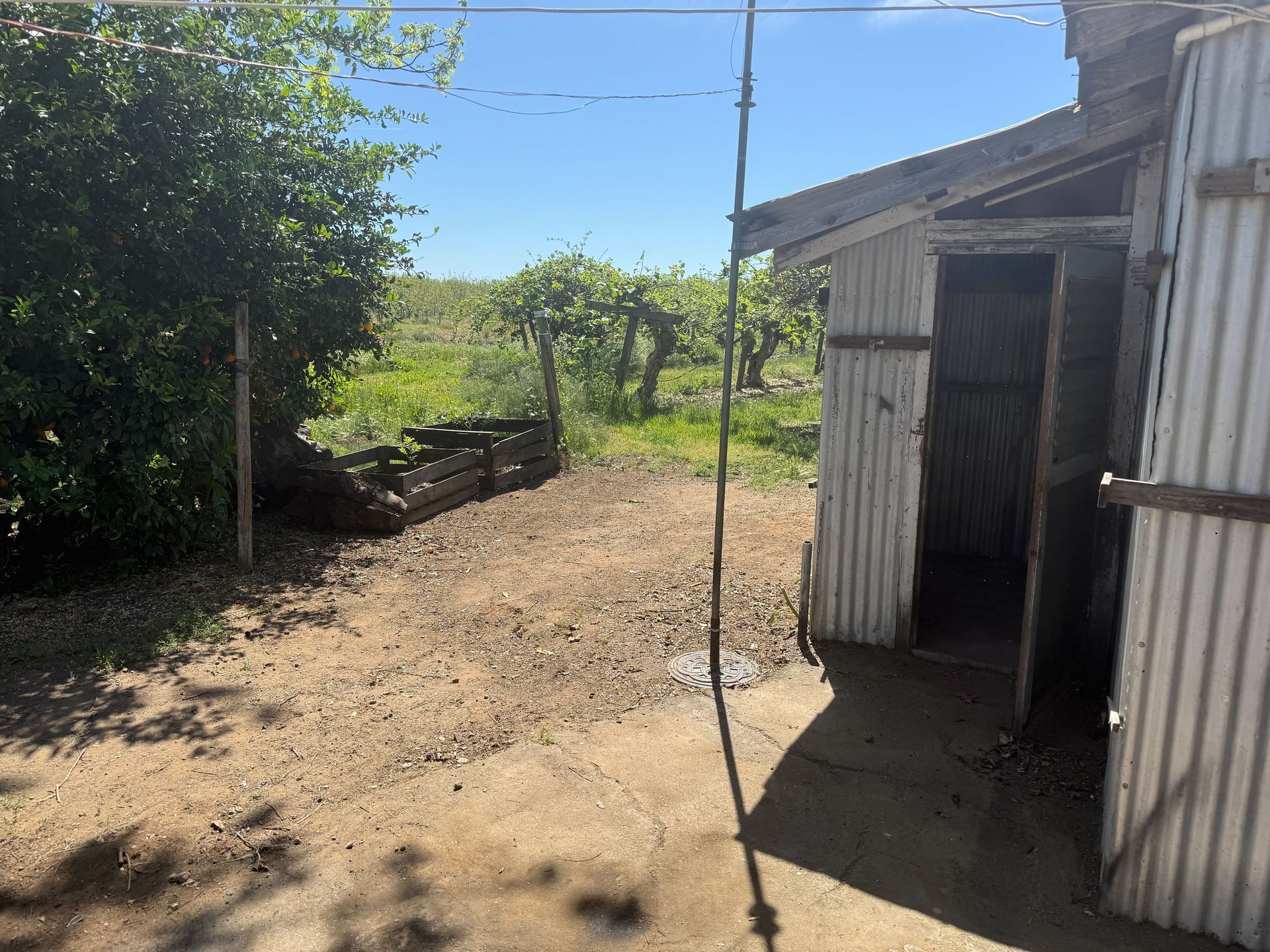 Hoarder cleanout in Gridley, CA — after: shed with open door and yard cleared of debris