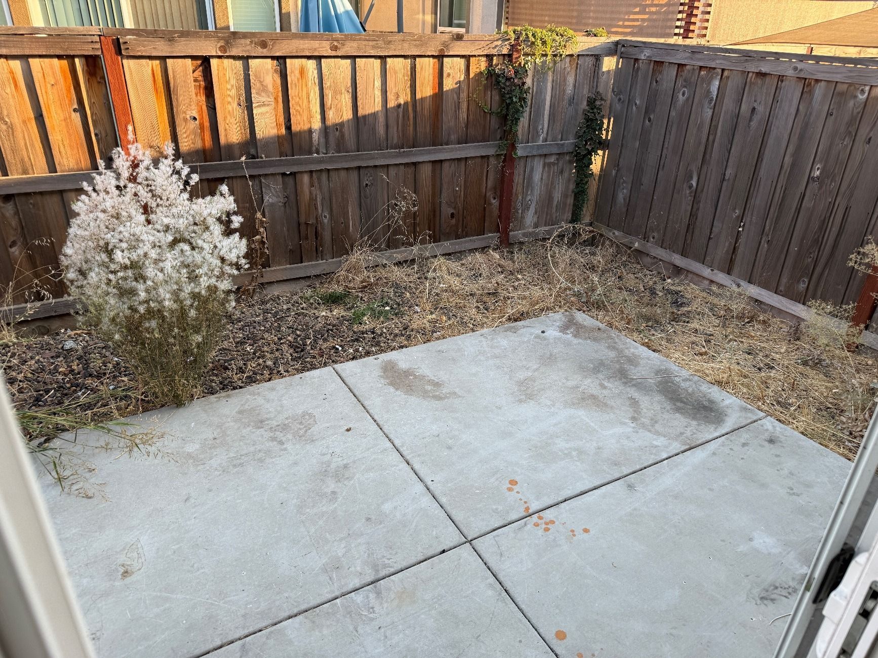 Backyard patio cleanout before and after in Chico, CA