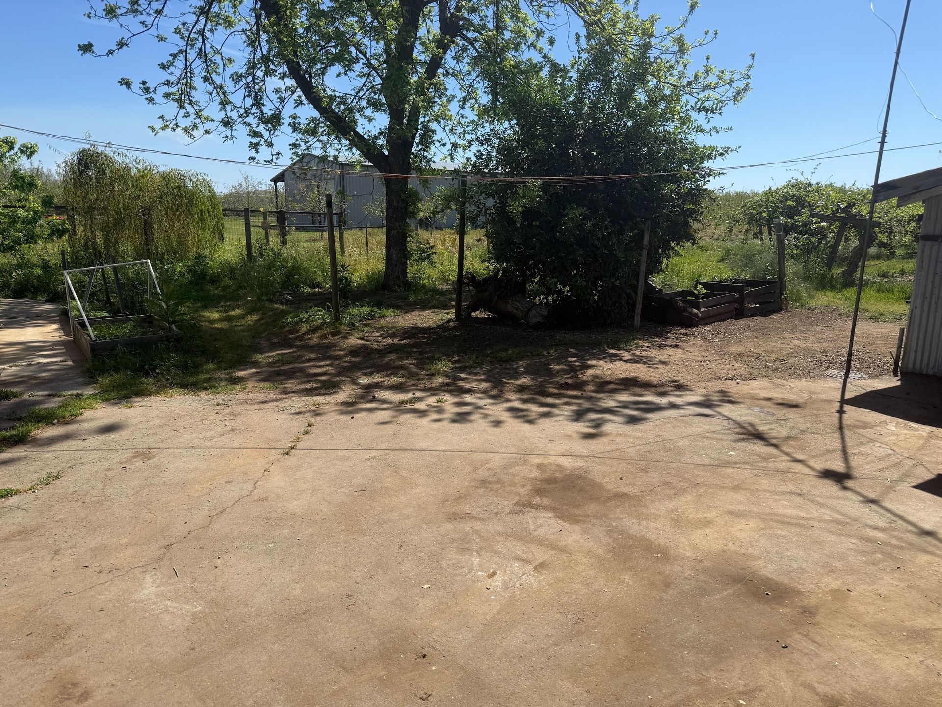 Hoarder cleanout in Gridley, CA — after: yard fully cleared with open ground and trees