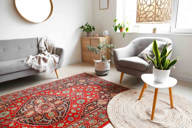 Bright living room with gray sofa, red patterned rug, round chair, and potted plants Bright living room with gray sofa, red patterned rug, round chair, and potted plants