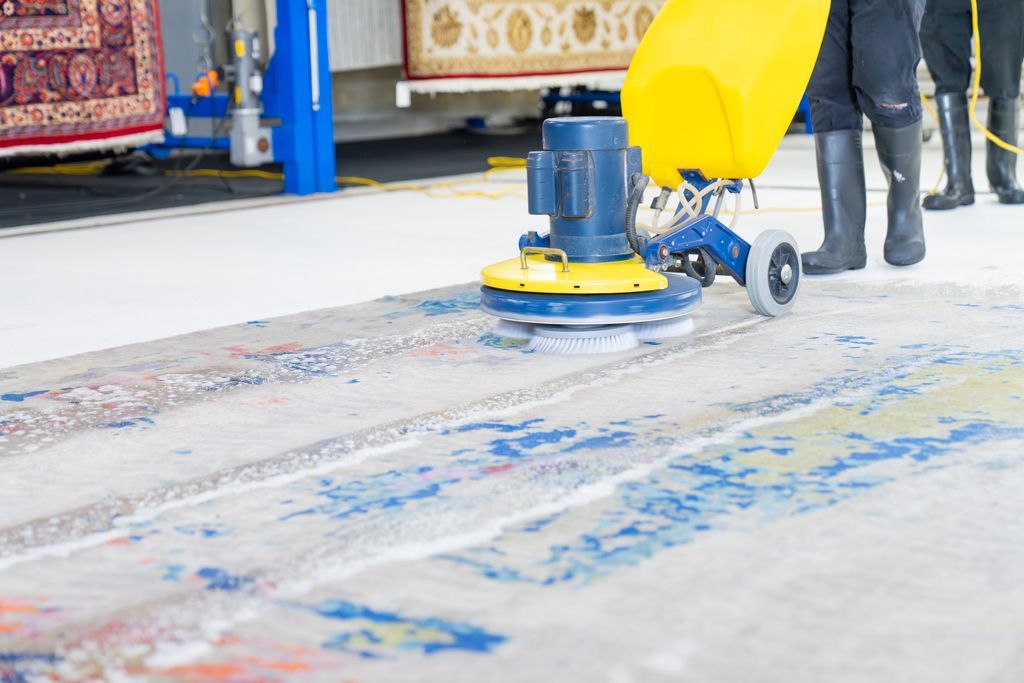 Person vacuuming a hallway carpet with a handheld extractor and hose