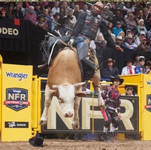 Bull rider in the air, riding a bucking bull at a rodeo in front of a crowd.