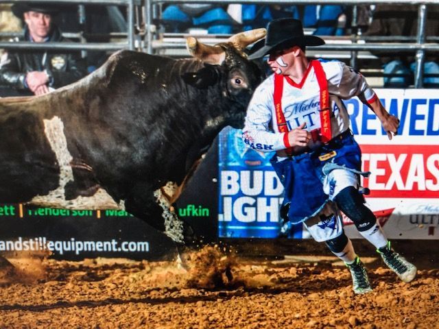 A rodeo clown runs from a charging black and white bull in a dirt arena, dodging the bull's horns.
