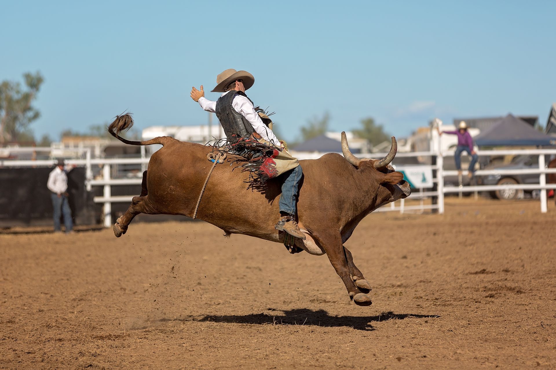 Bull rider on a bucking bull at a rodeo, dust flying, blue sky background.