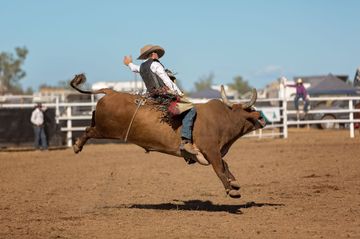 Bull rider on a bucking bull at a rodeo, dust flying, blue sky background.