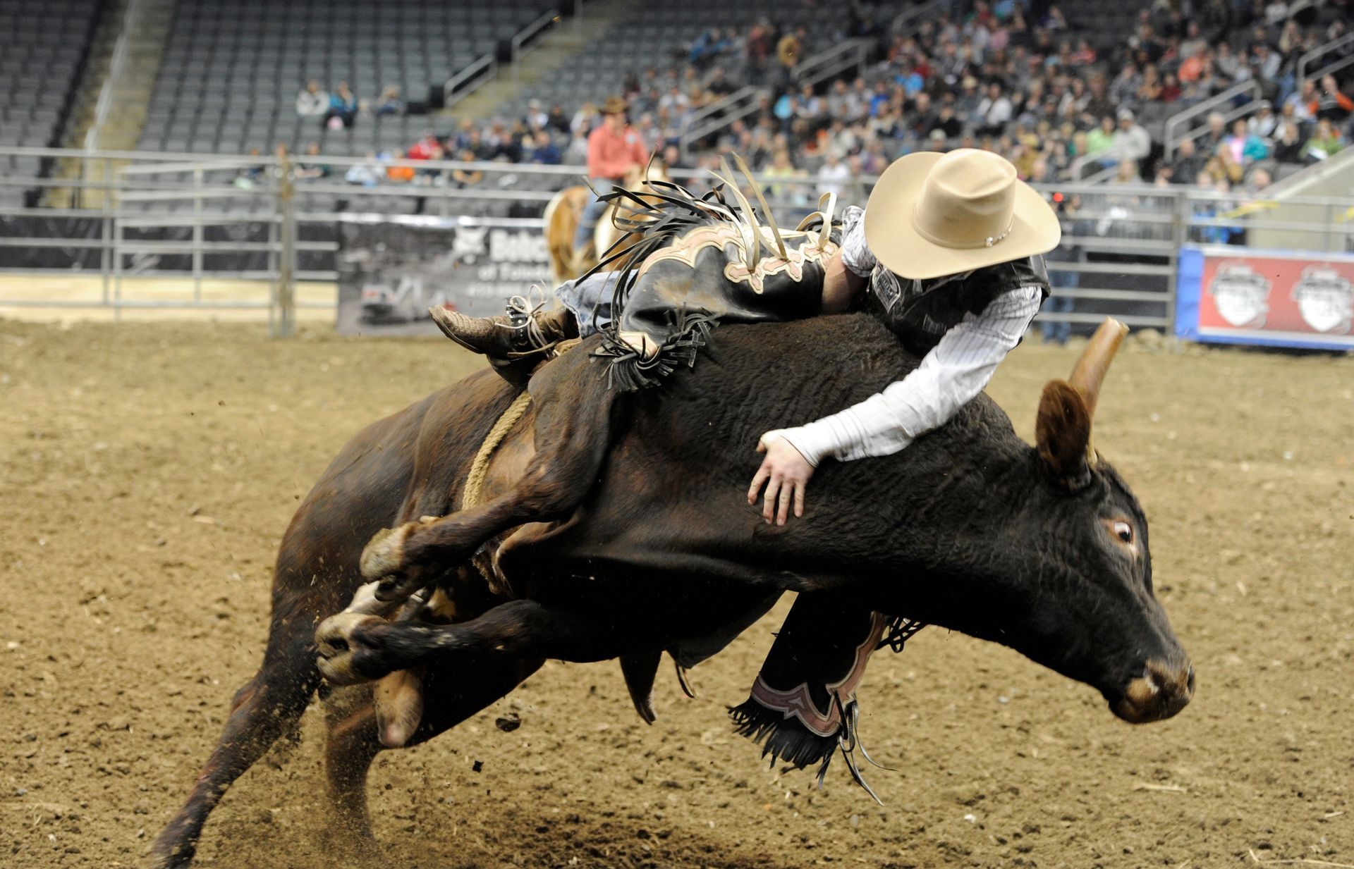 Bull rider in a rodeo, wearing a cowboy hat, struggling to stay on a bucking black bull in a dirt arena.