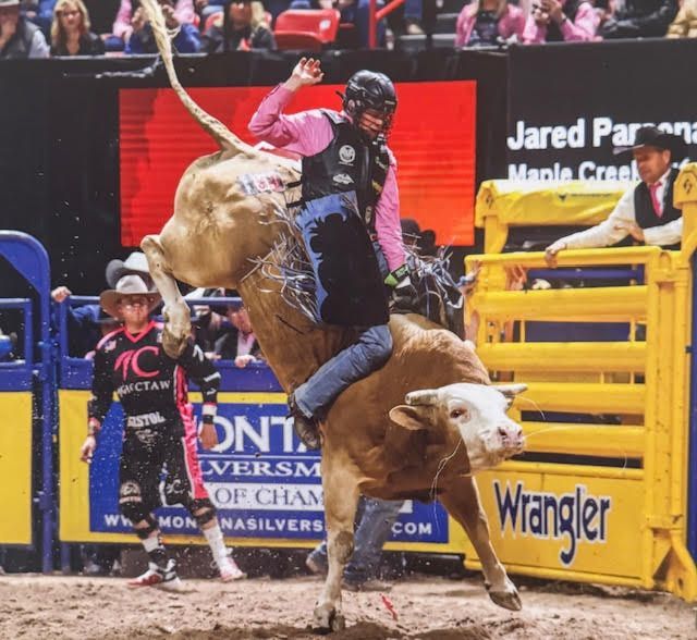 A rodeo rider in pink shirt attempts to stay on a bucking bull; arena setting.