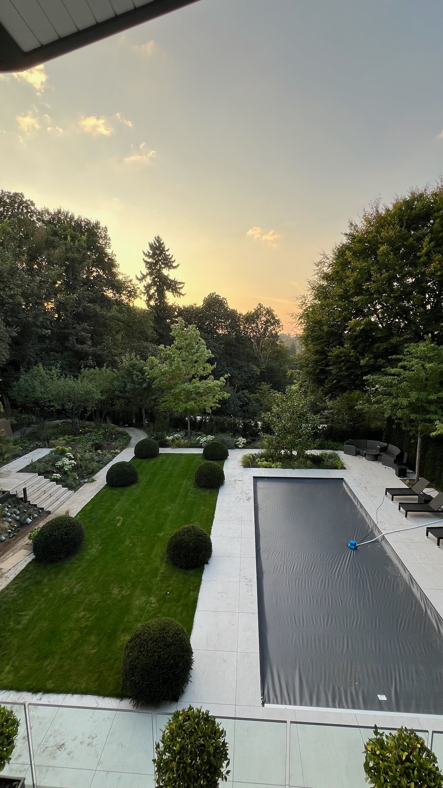 Green lawn with topiary, a pool, and trees at dusk.