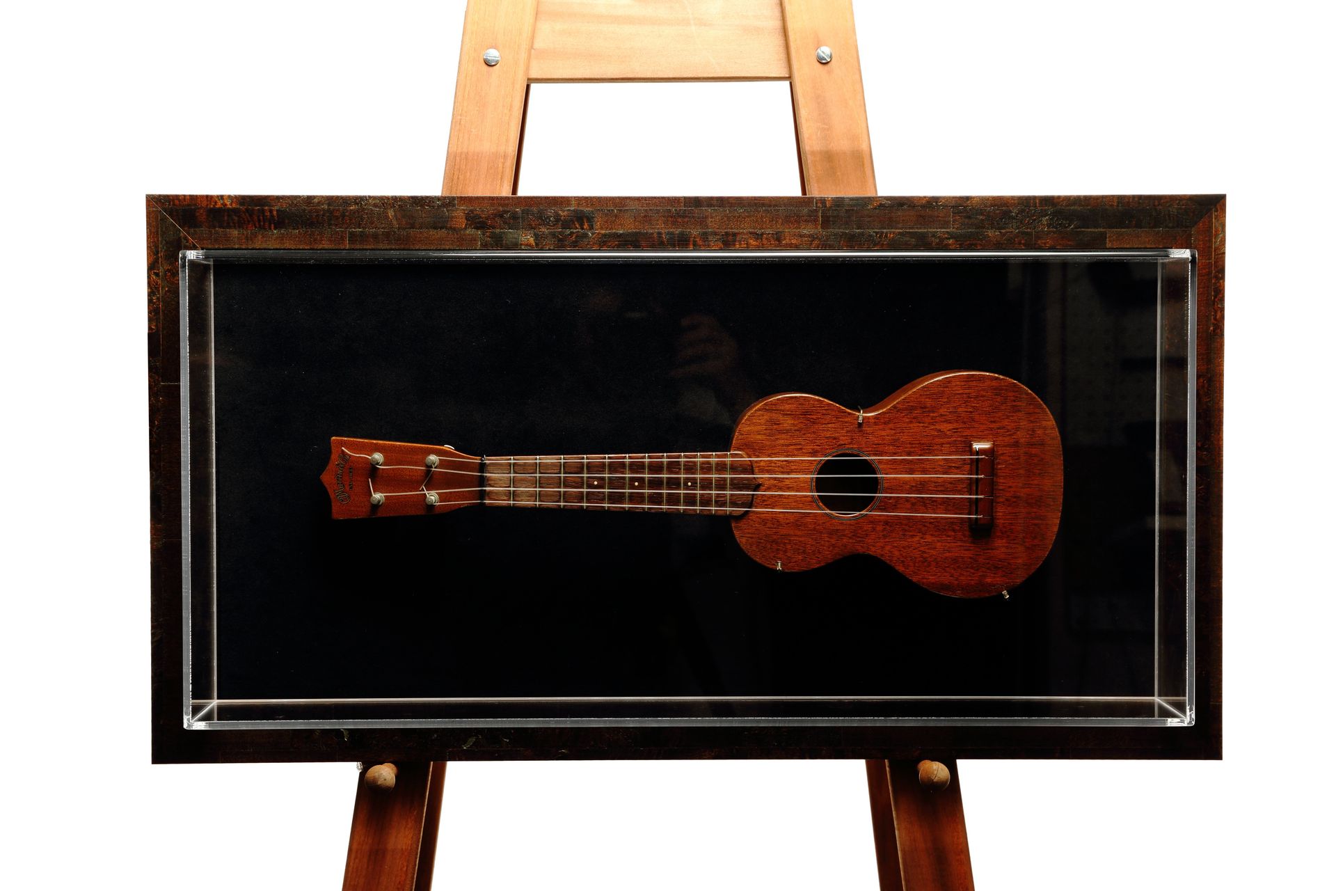 Stringed Instrument in Stylish Shadow Box Frame