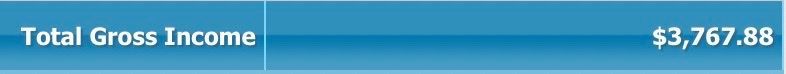 A blue background with the words `` total gross income '' written on it.