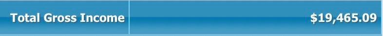 A blue background with the words total gross income on it