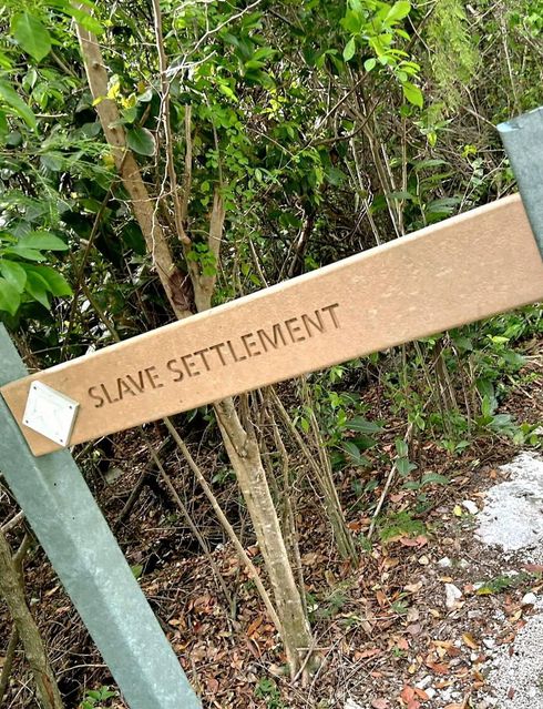 Sign reading