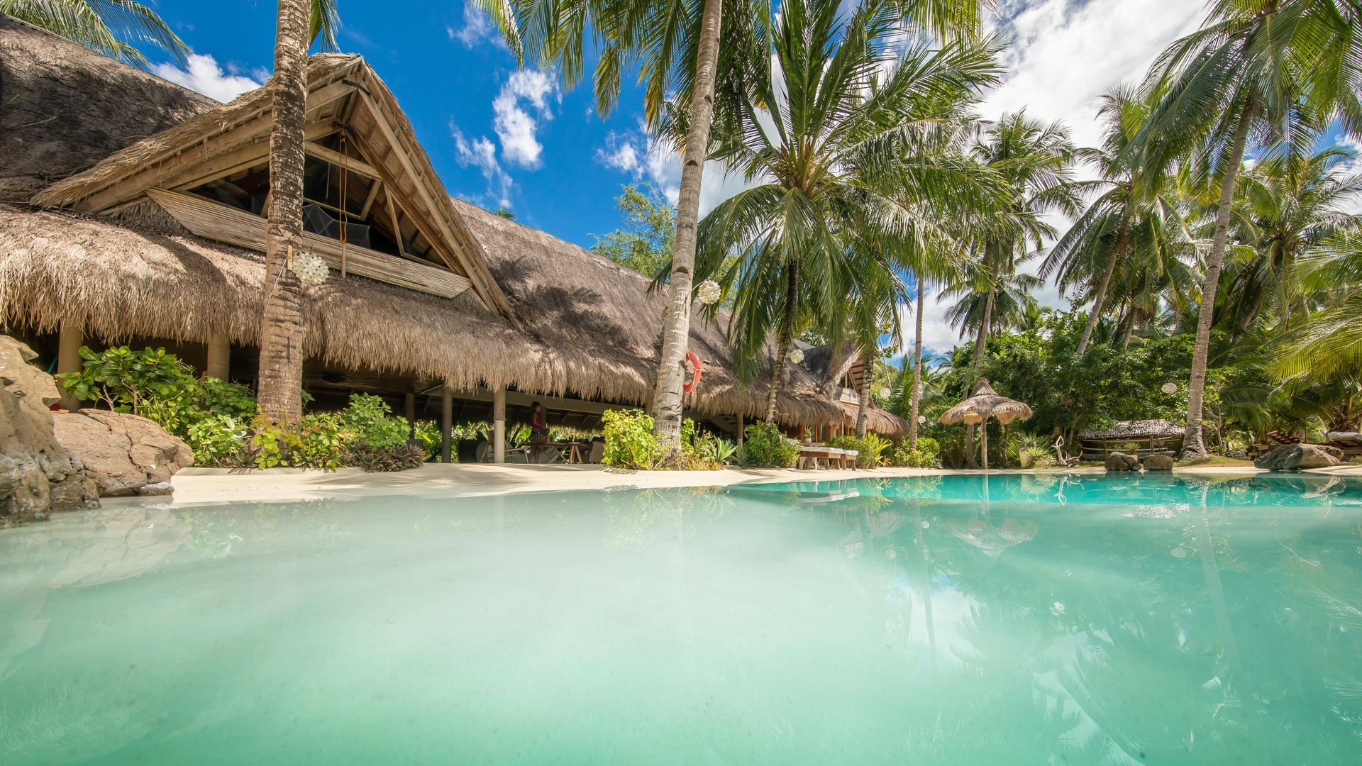A swimming pool surrounded by palm trees and a thatched building.