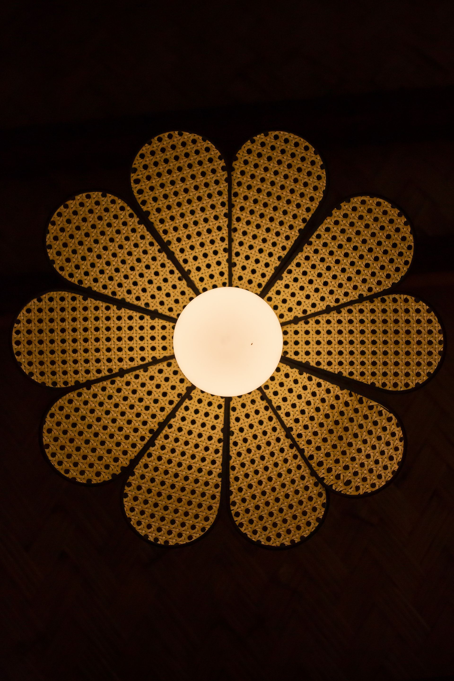 A close up of a flower with a light inside of it.