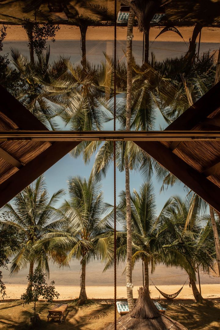 A reflection of palm trees on a beach in a mirror.