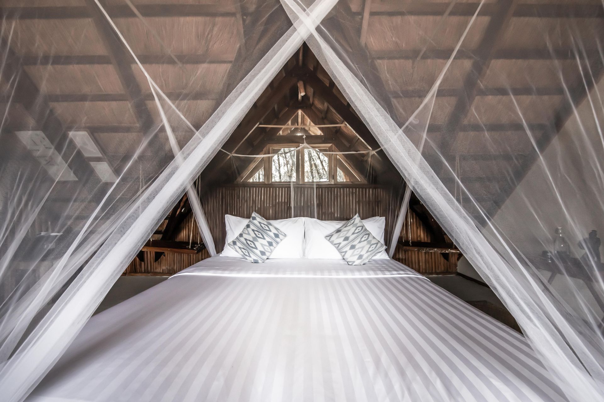 A bed with white sheets and pillows under a mosquito net.