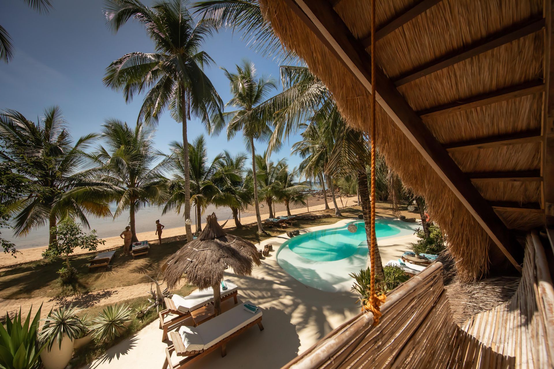 A view of a swimming pool from a balcony with palm trees in the background