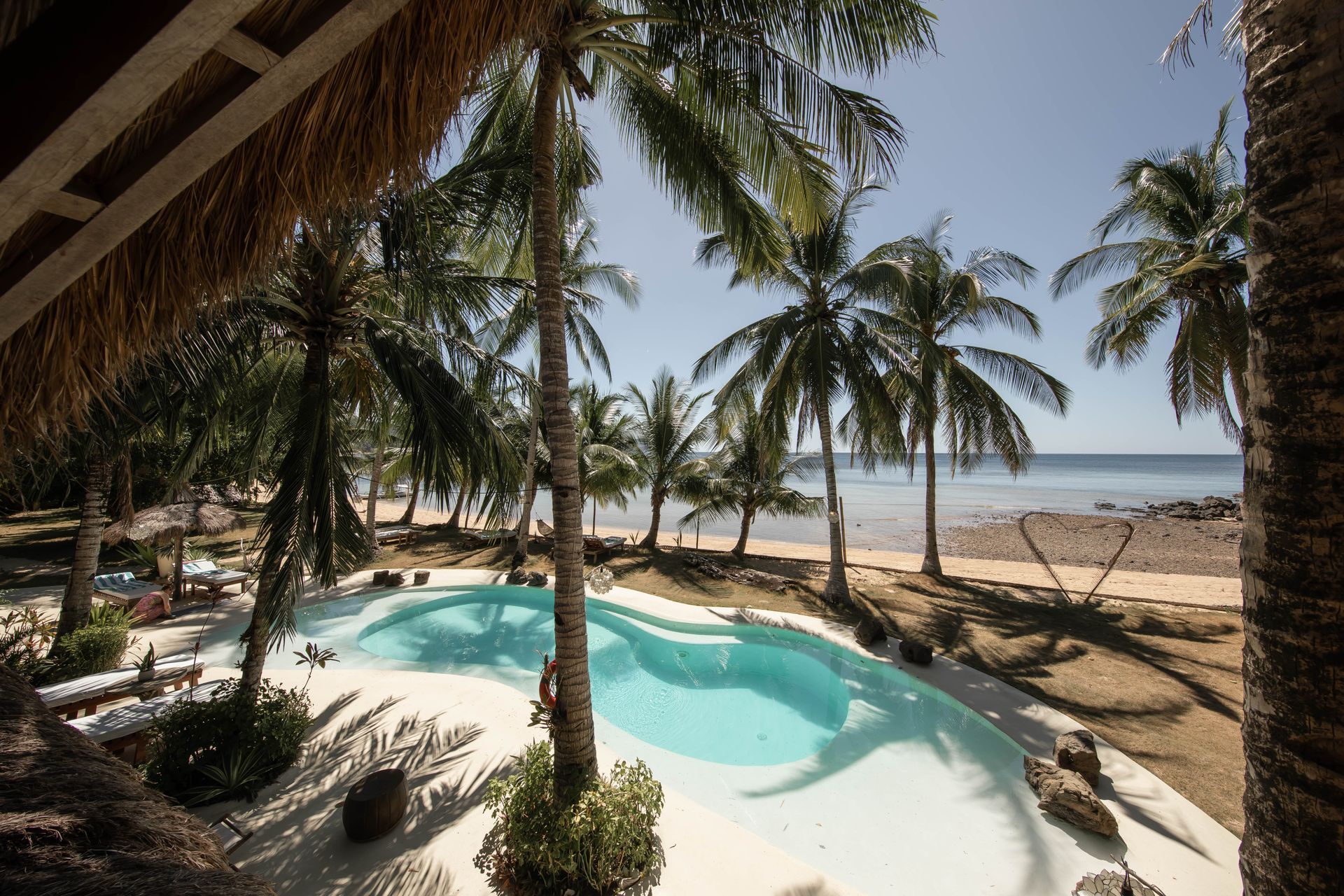 A large swimming pool surrounded by palm trees next to the ocean