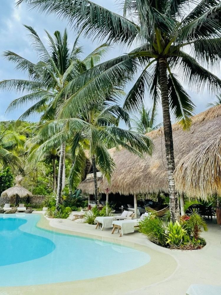 A large swimming pool surrounded by palm trees and thatched roofs.
