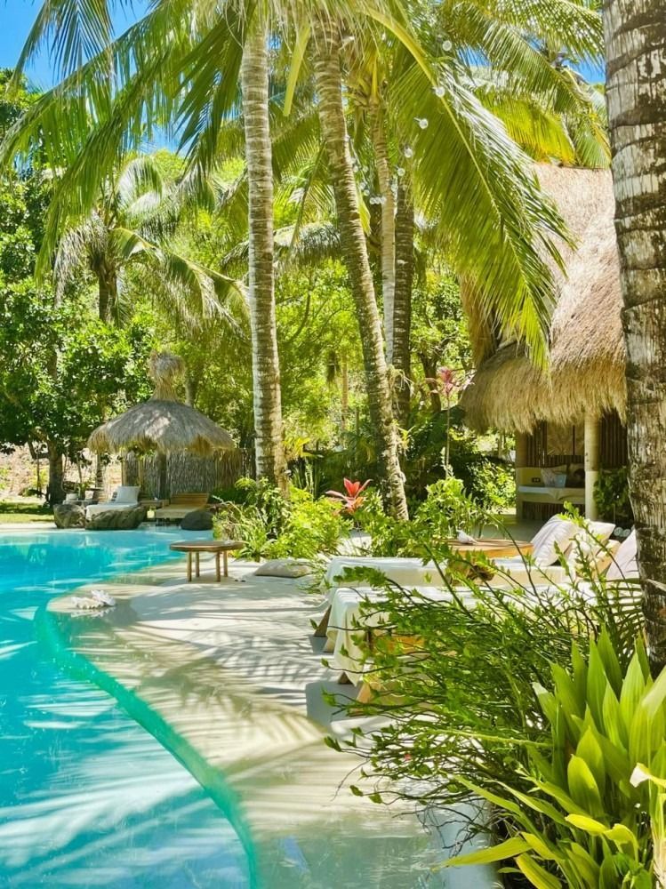 A swimming pool surrounded by palm trees and a thatched hut.