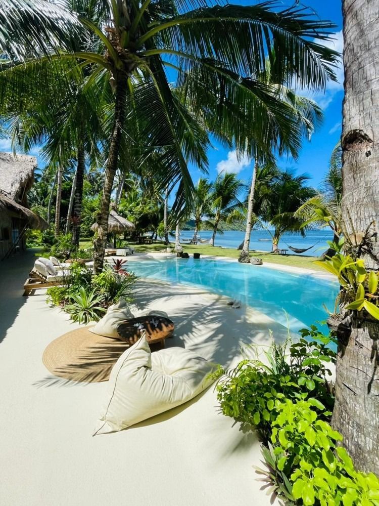 A swimming pool surrounded by palm trees on a tropical island