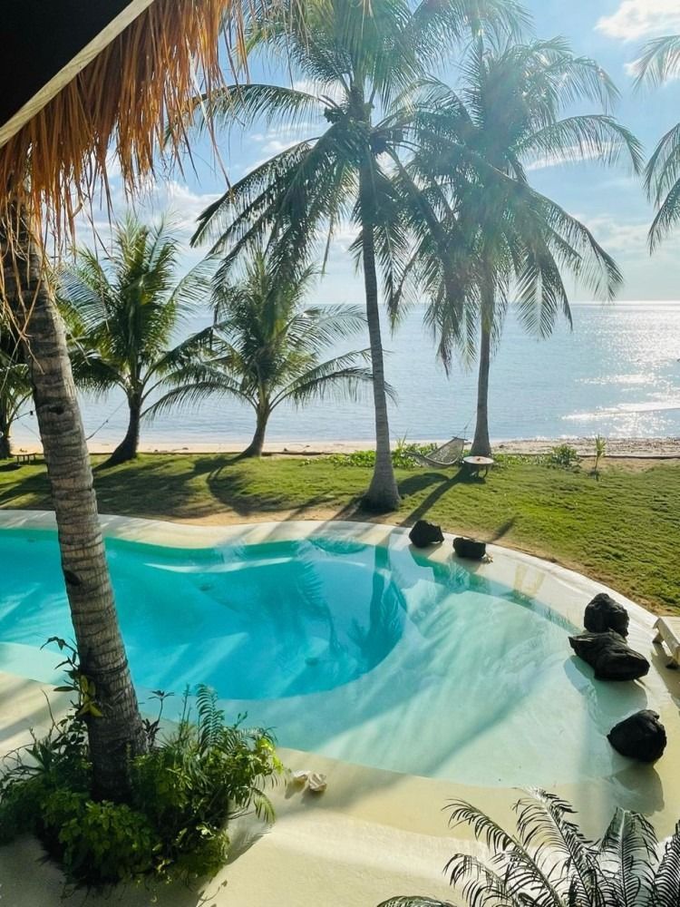 A large swimming pool surrounded by palm trees next to the ocean.