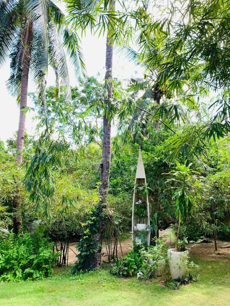 A lush green garden filled with lots of trees and plants.