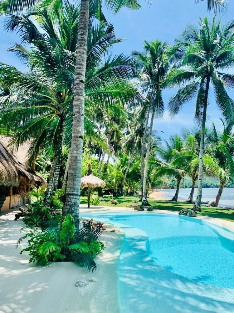 A large swimming pool surrounded by palm trees on a tropical island