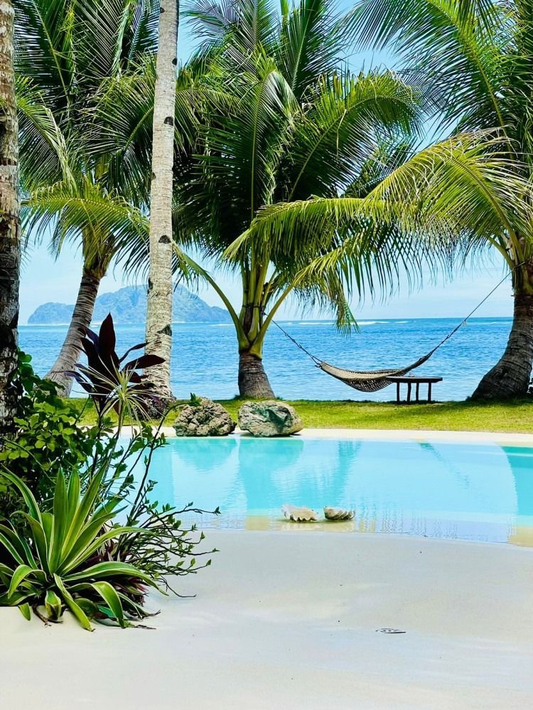 A swimming pool surrounded by palm trees and a hammock overlooking the ocean.