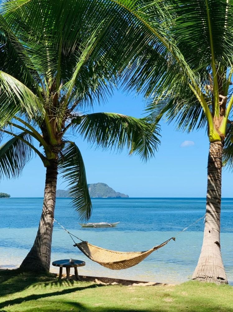 A hammock is hanging between two palm trees near the ocean