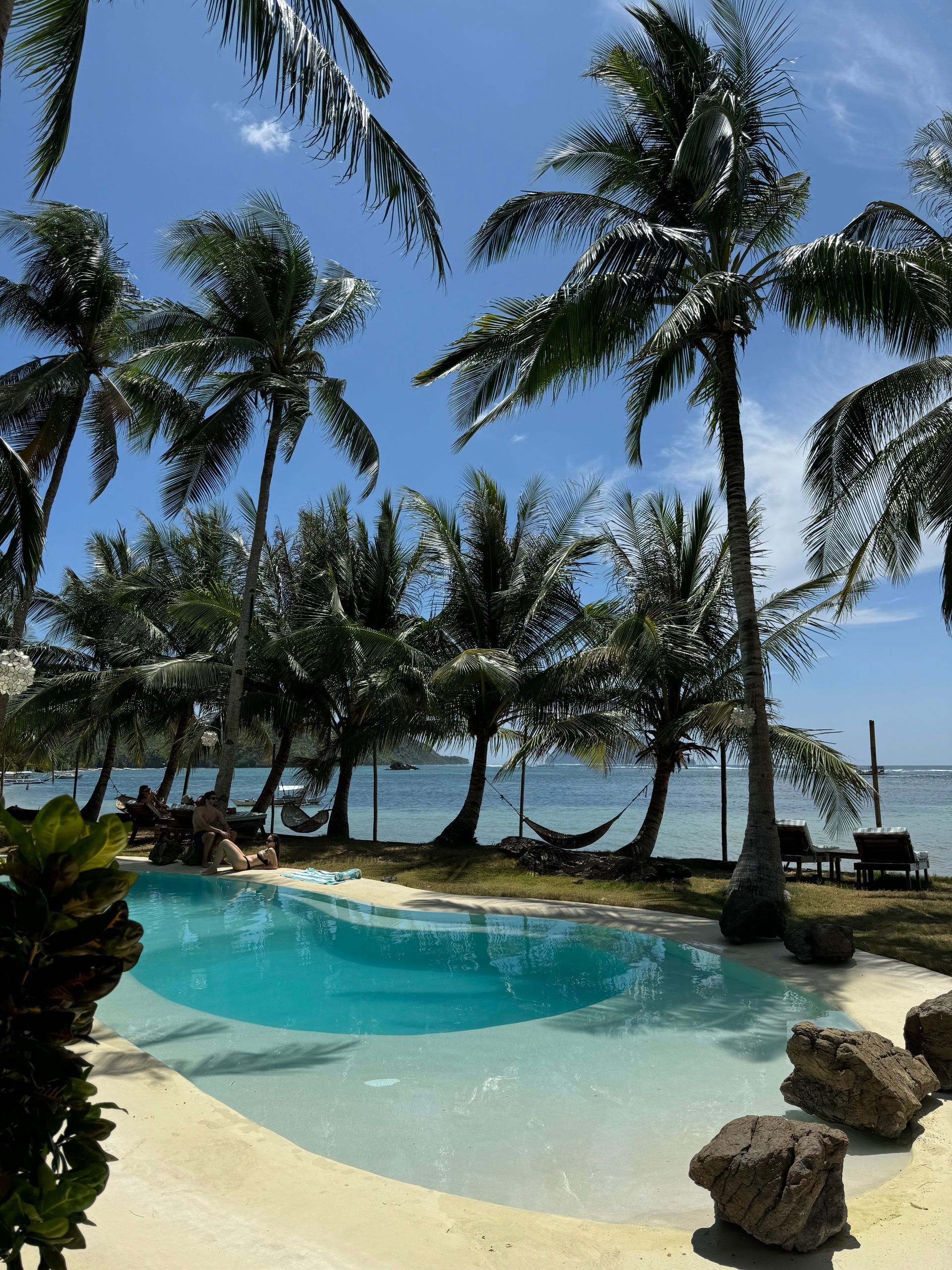 A swimming pool surrounded by palm trees next to the ocean