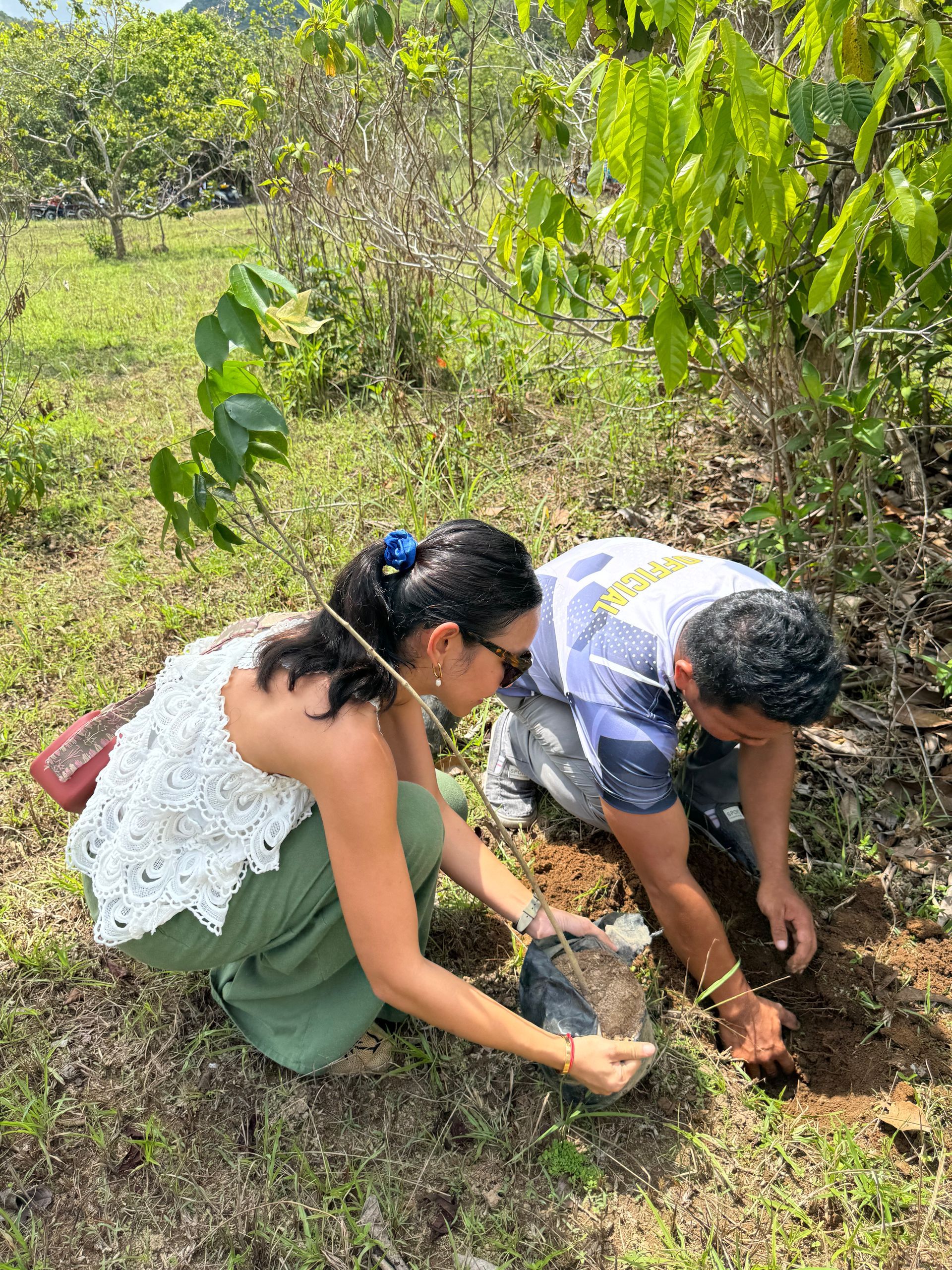 tree planting