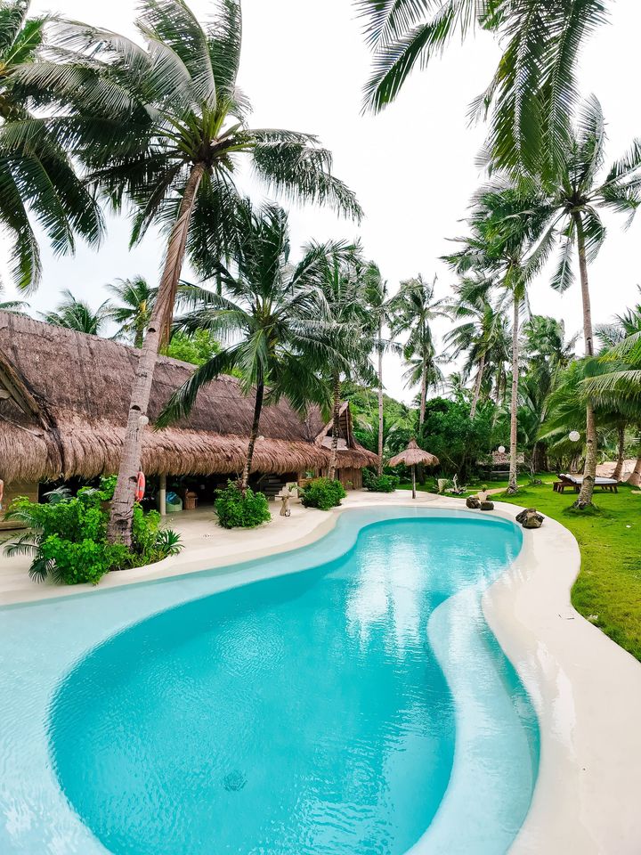 A large swimming pool surrounded by palm trees
