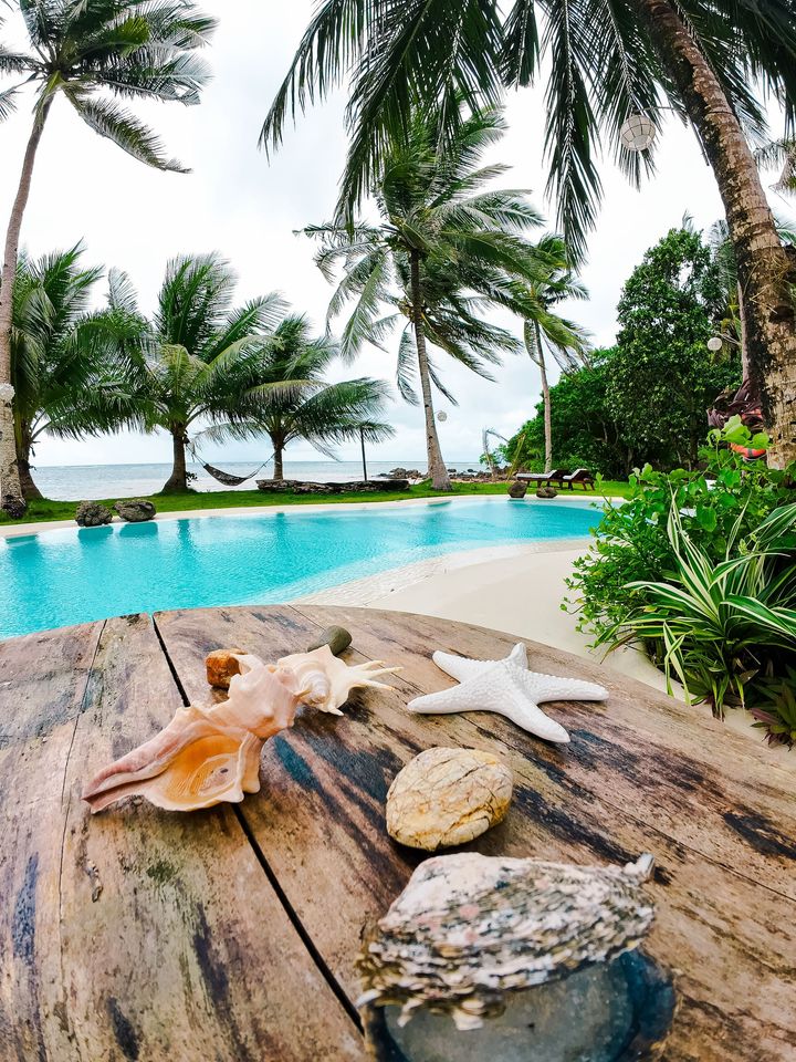 Seashells and starfish are on a wooden table in front of a swimming pool.