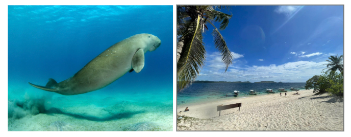 Dugong and Black Island