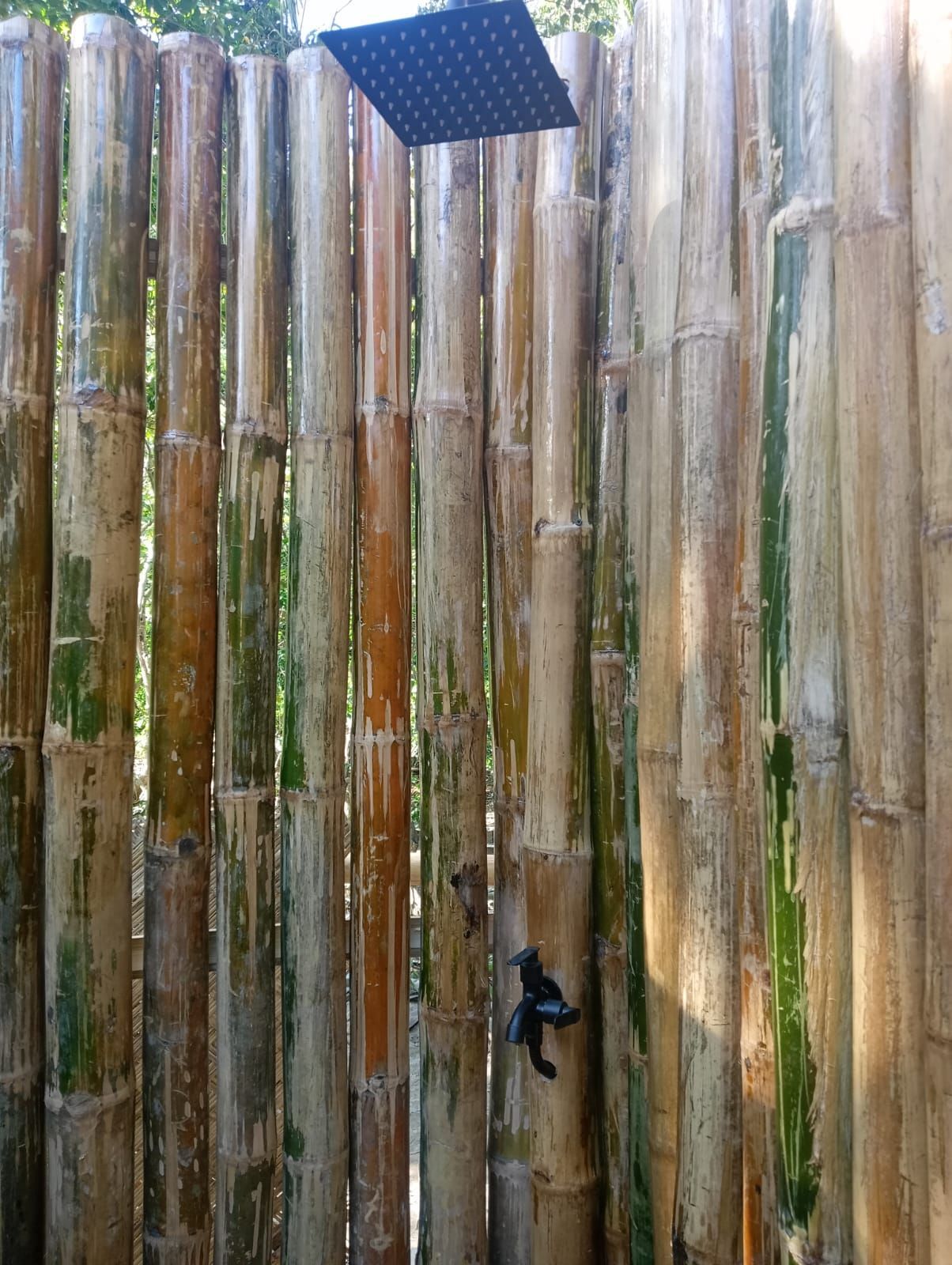 A bamboo fence with a shower head on top of it