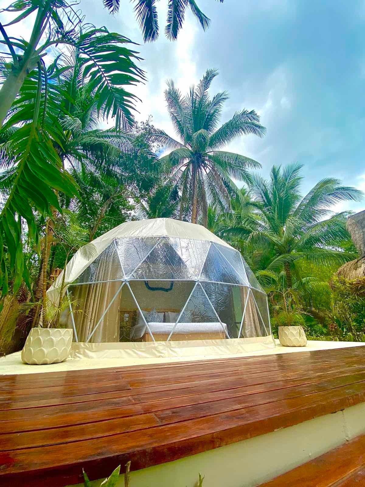A dome tent is sitting on top of a wooden deck surrounded by palm trees.
