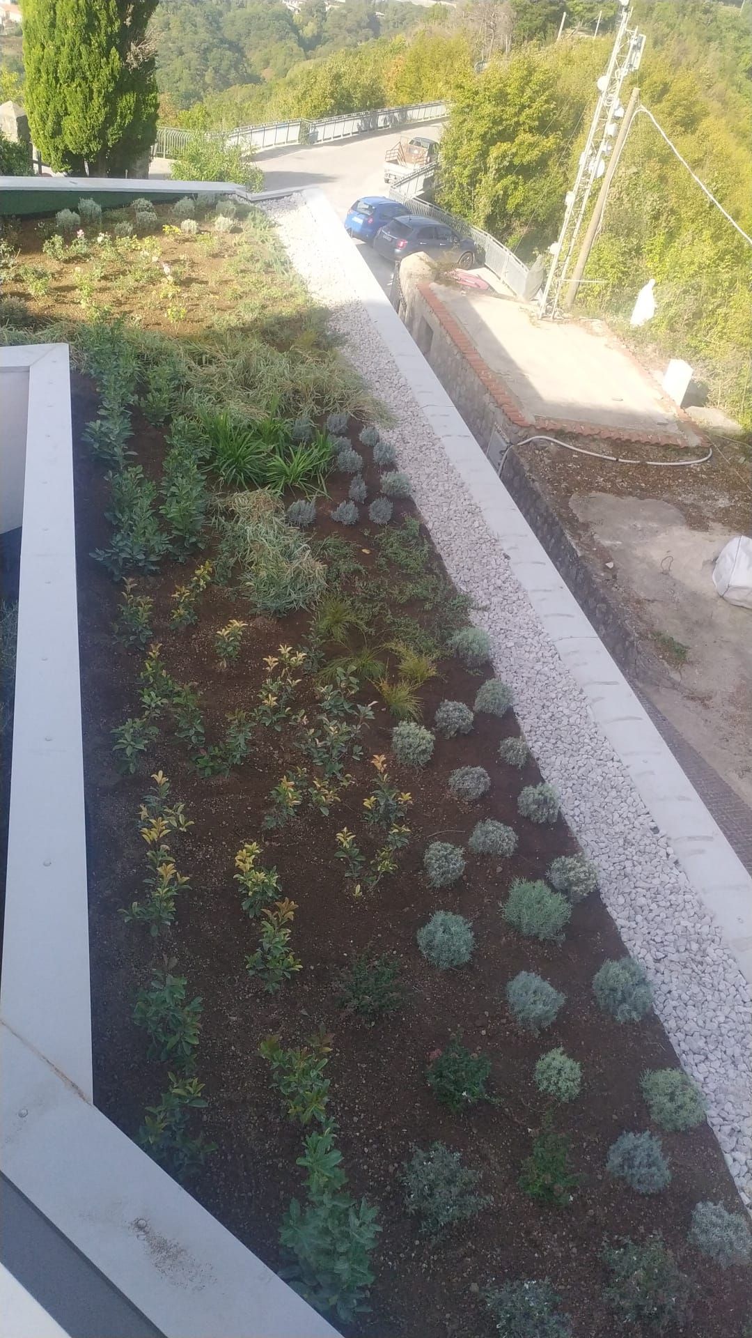 Giardino pensile verde con varie piante, che costeggia un vialetto e con vista su una strada sullo sfondo.