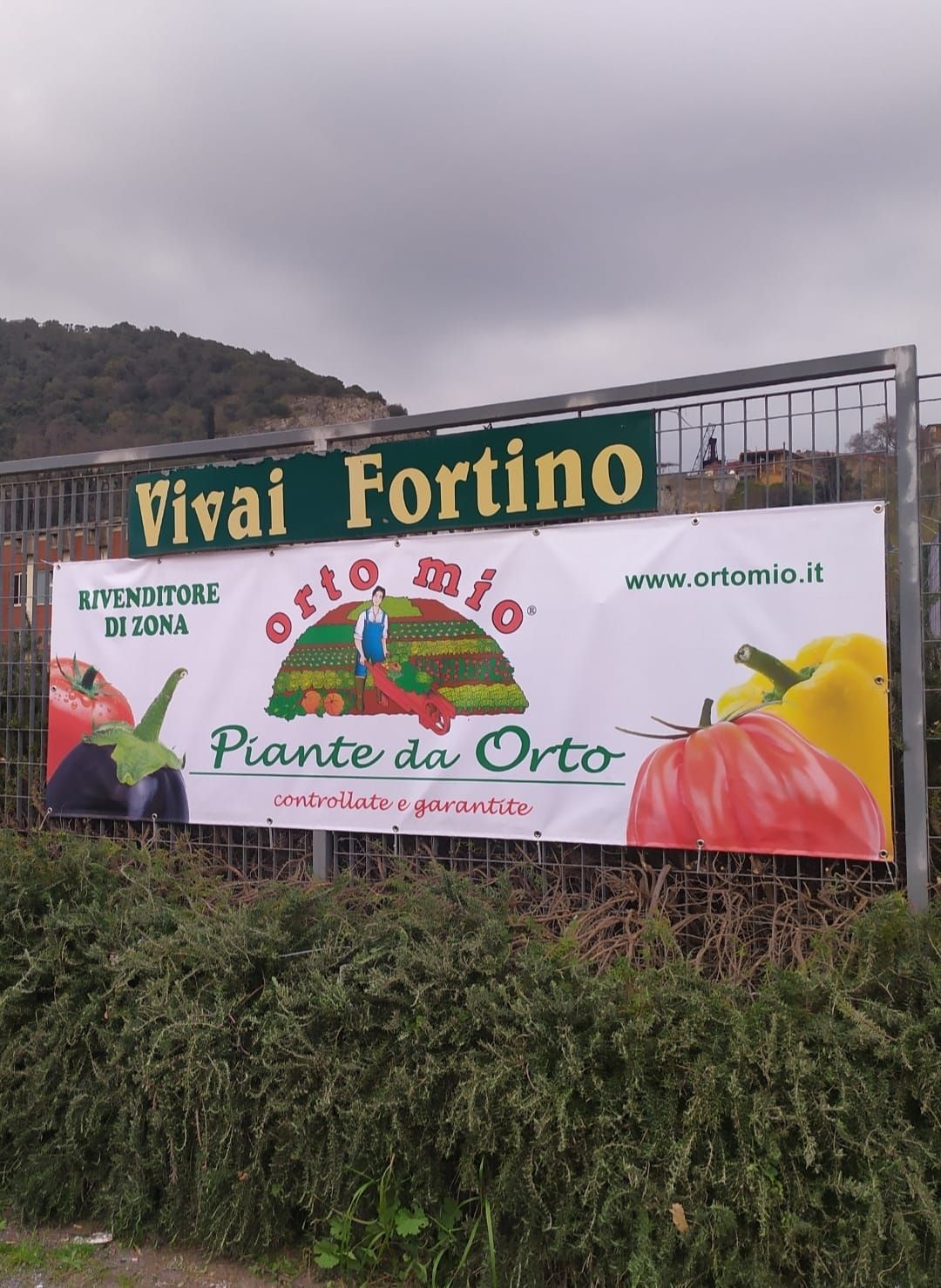 Insegna del vivaio