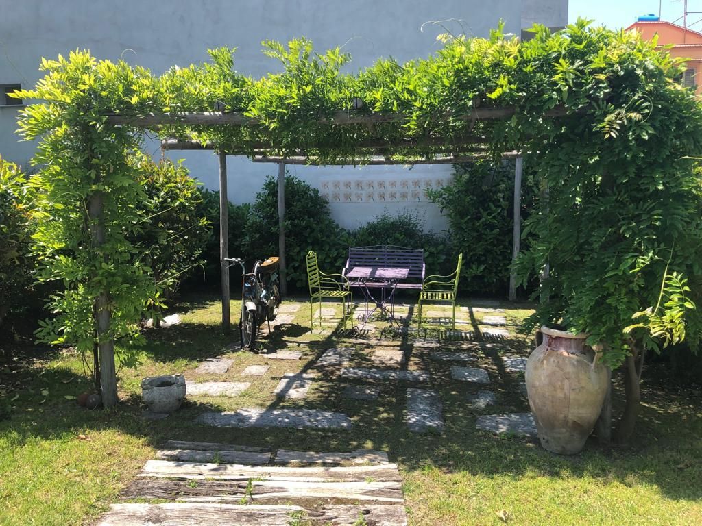 Pergolato ricoperto di rampicanti verdi sopra un tavolo e delle sedie in un giardino soleggiato.