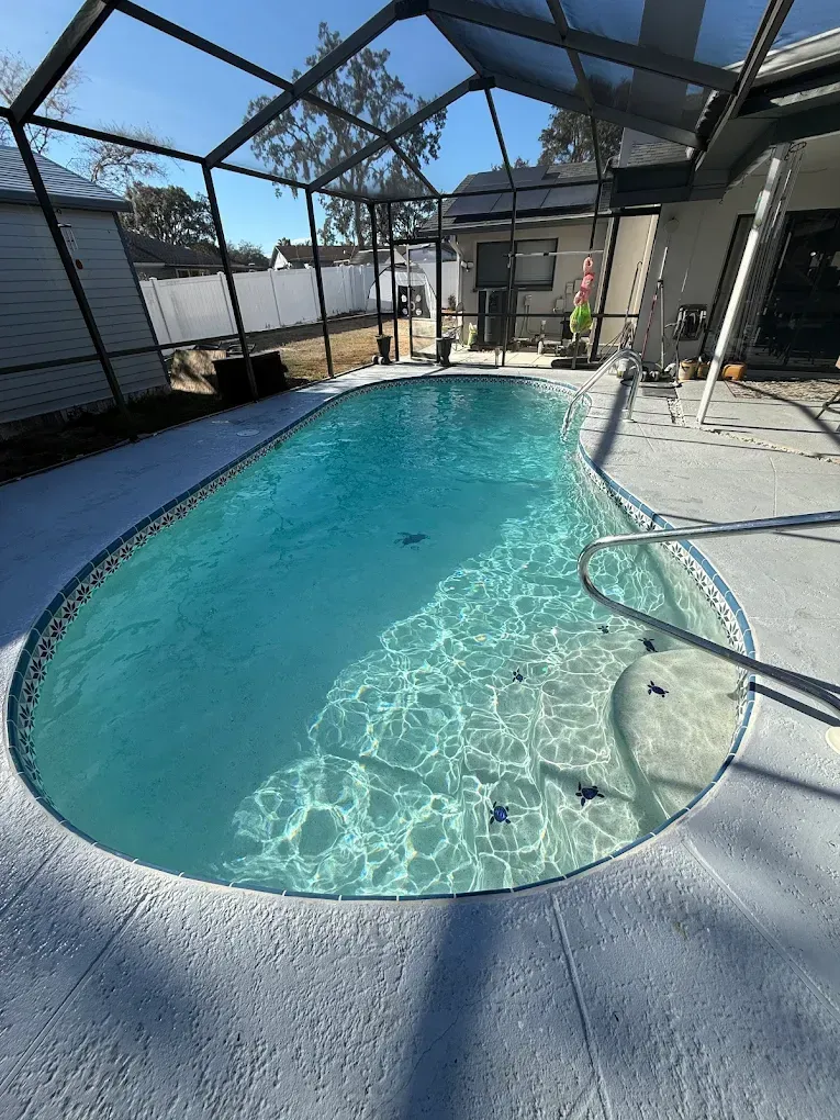 Screened backyard pool with turquoise water and a concrete patio under a clear blue sky