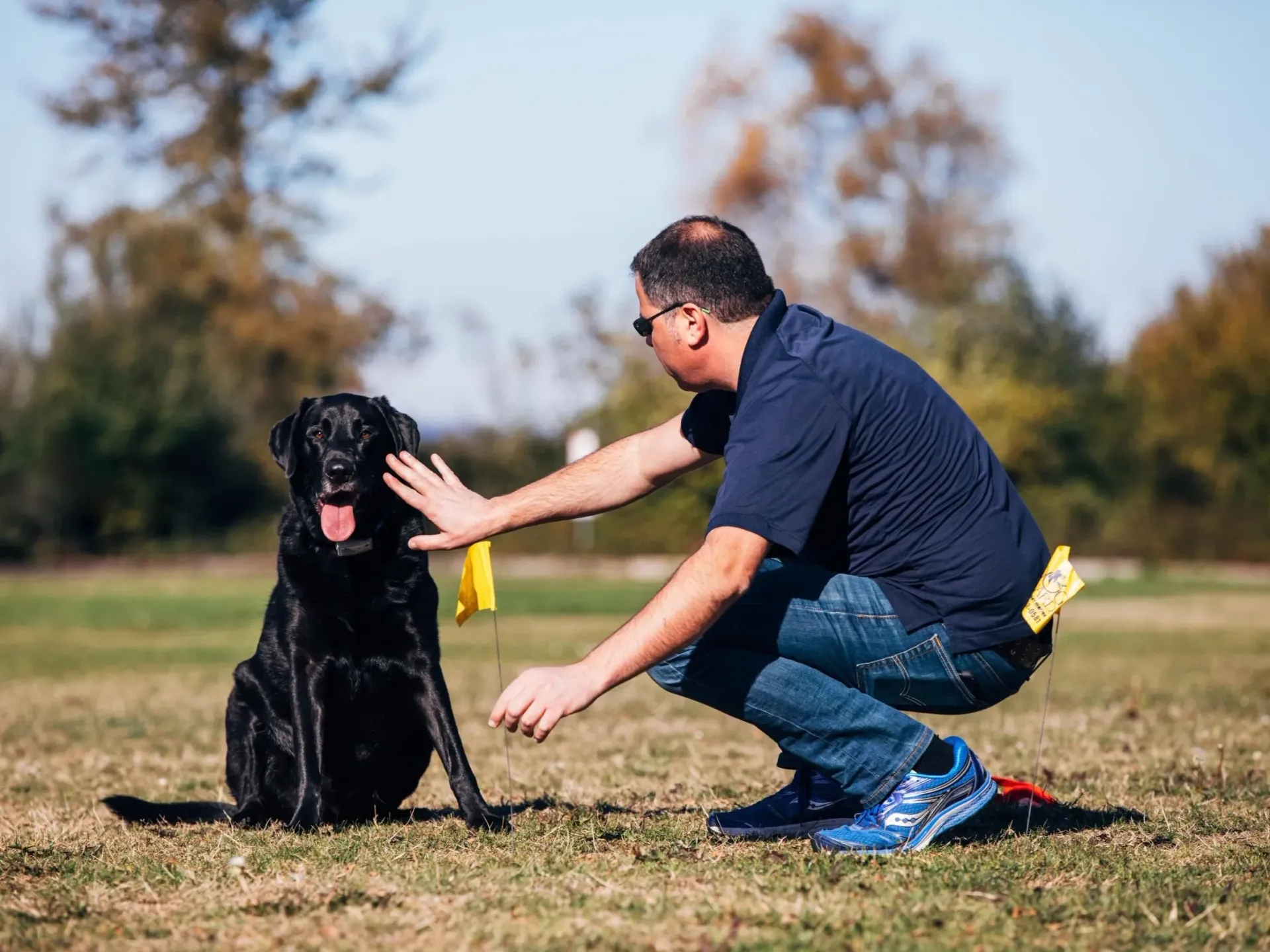 A person in a blue shirt crouches to gently pat the head of a black Labrador sitting on a dry, grassy field.