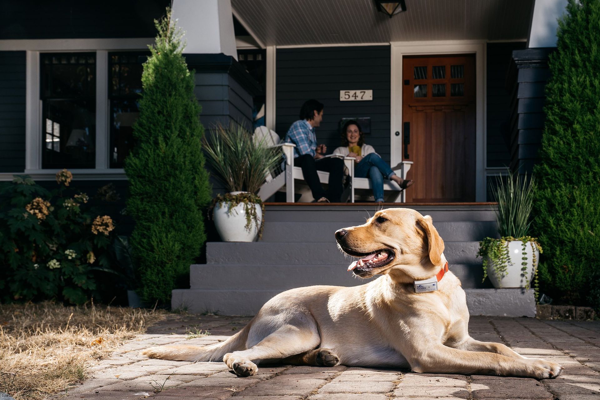 A golden dog rests on a paved area in front of a porch where two people sit and talk.