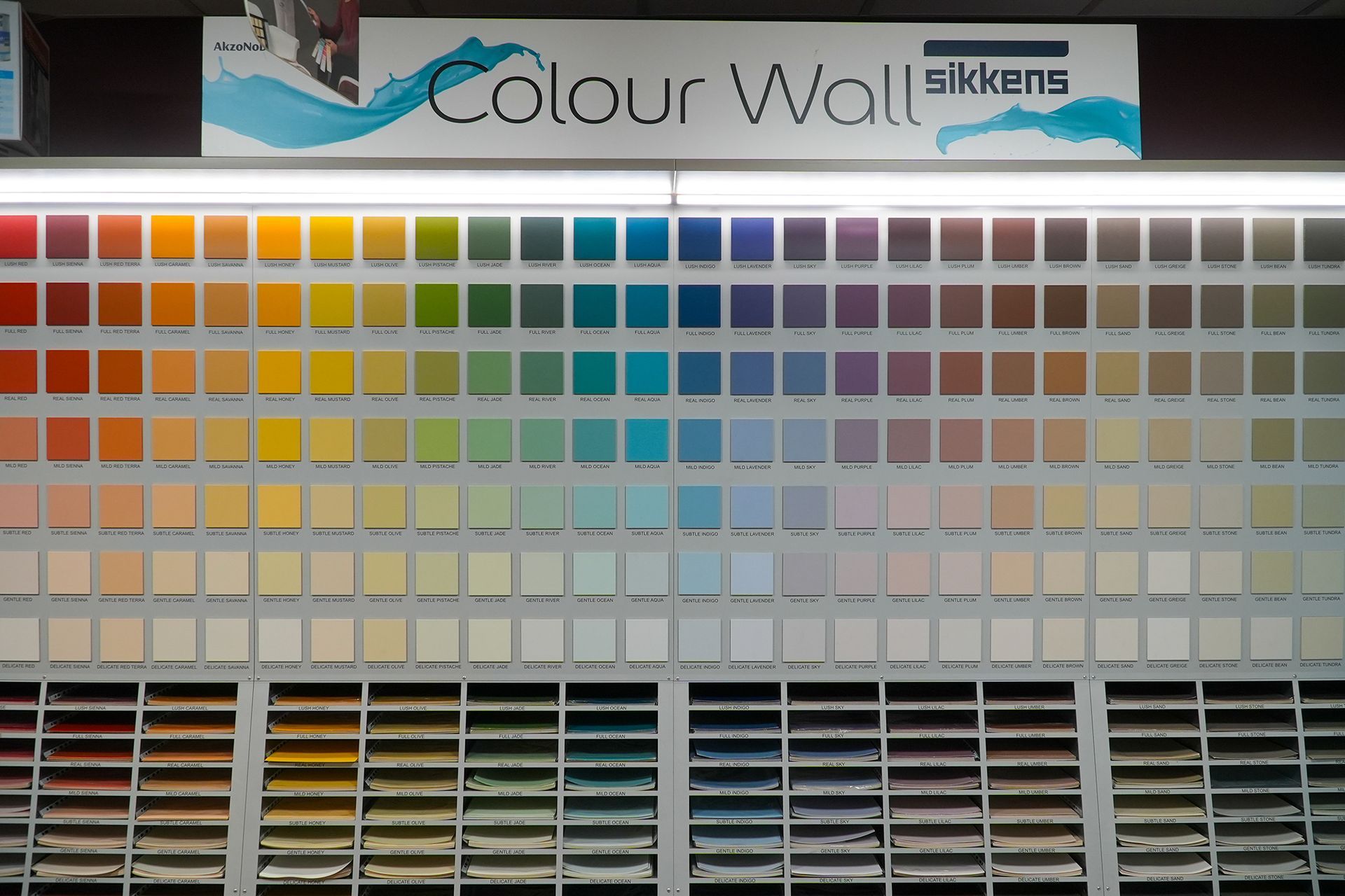 campioni colori
