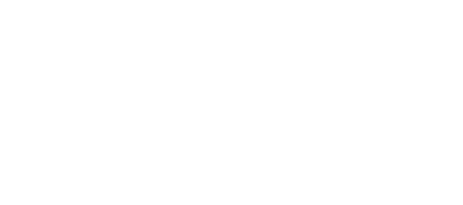 logo top edil