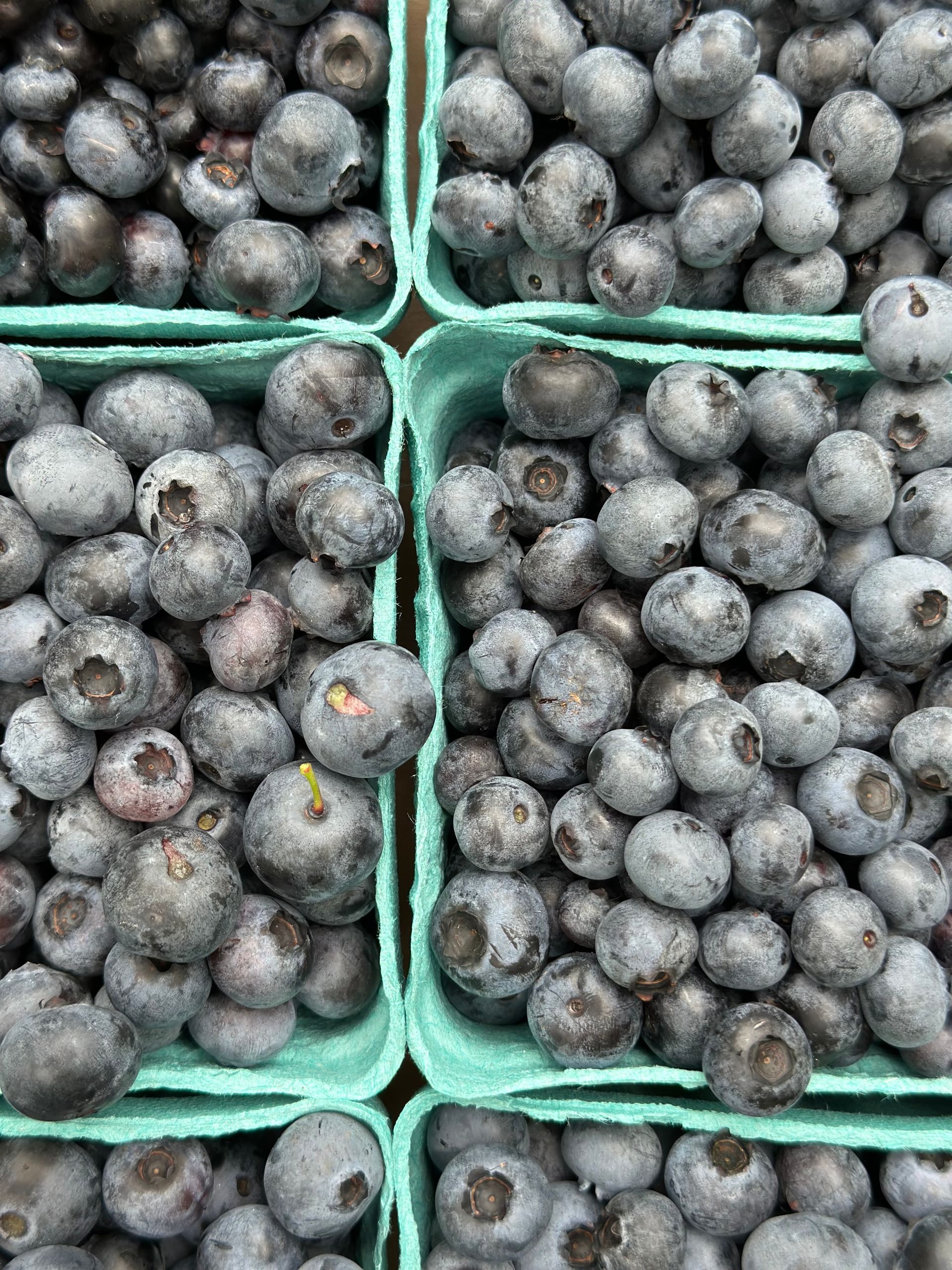 Four green crates filled with small dark berries at a market stall